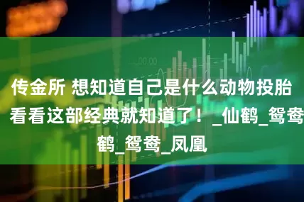 传金所 想知道自己是什么动物投胎转世，看看这部经典就知道了！_仙鹤_鸳鸯_凤凰