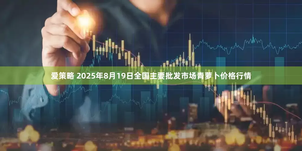 爱策略 2025年8月19日全国主要批发市场青萝卜价格行情