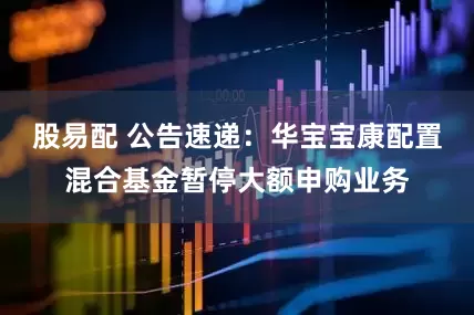 股易配 公告速递：华宝宝康配置混合基金暂停大额申购业务